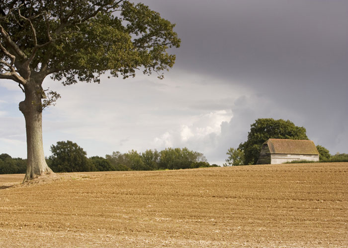 Ploughed filed and barn  - English Countryside - Photography