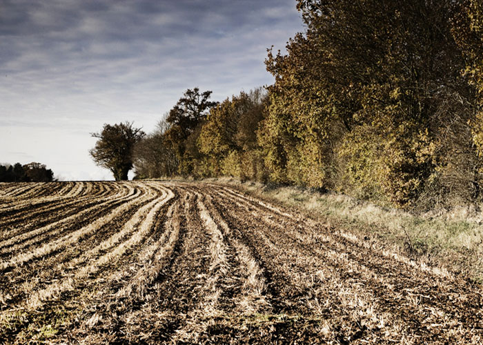 Ploughed field in autumnal English countryside